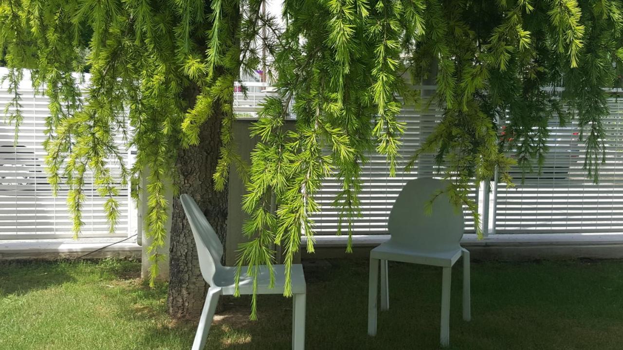 B&B "Al Colle 11" Fano Dış mekan fotoğraf
