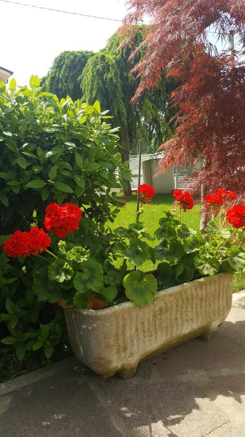 B&B "Al Colle 11" Fano Dış mekan fotoğraf